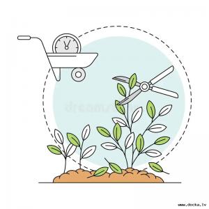 Dārzkopība un augu kopšana / Садоводство и уход за растениями / Gardening and plant care